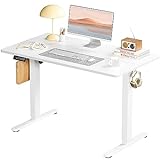 SMUG Standing Desk, Adjustable Height Electric Sit...